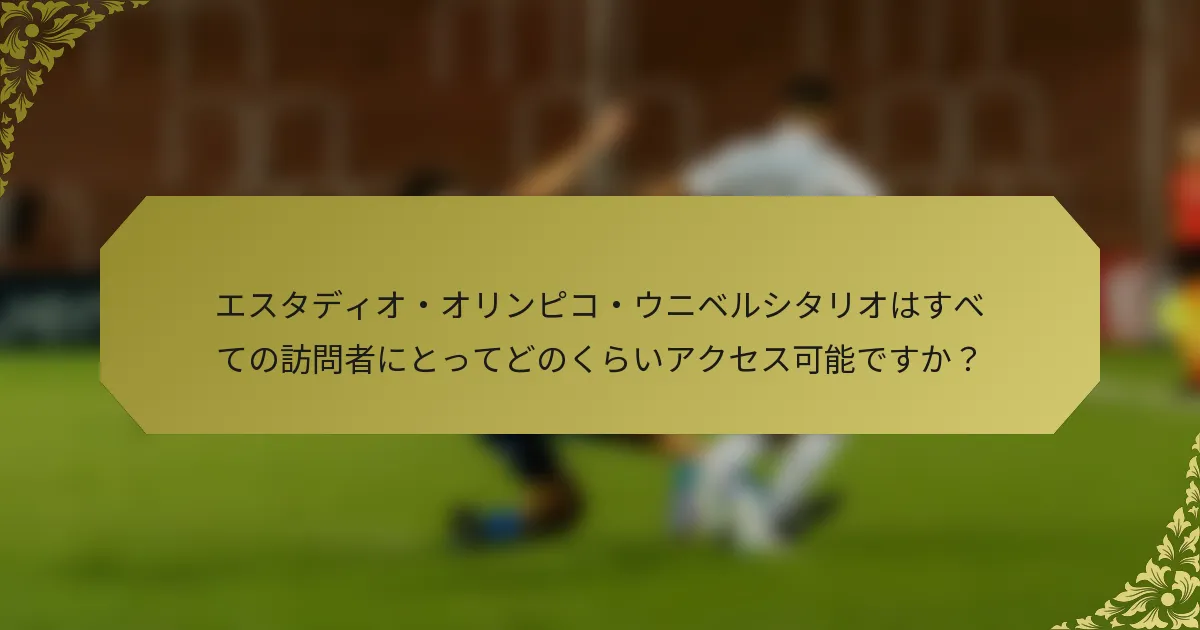 エスタディオ・オリンピコ・ウニベルシタリオはすべての訪問者にとってどのくらいアクセス可能ですか？